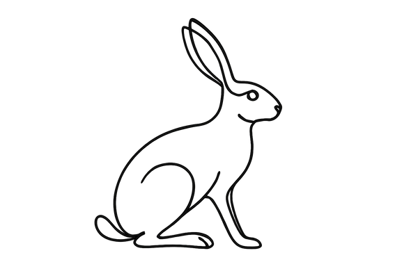continuous line hare